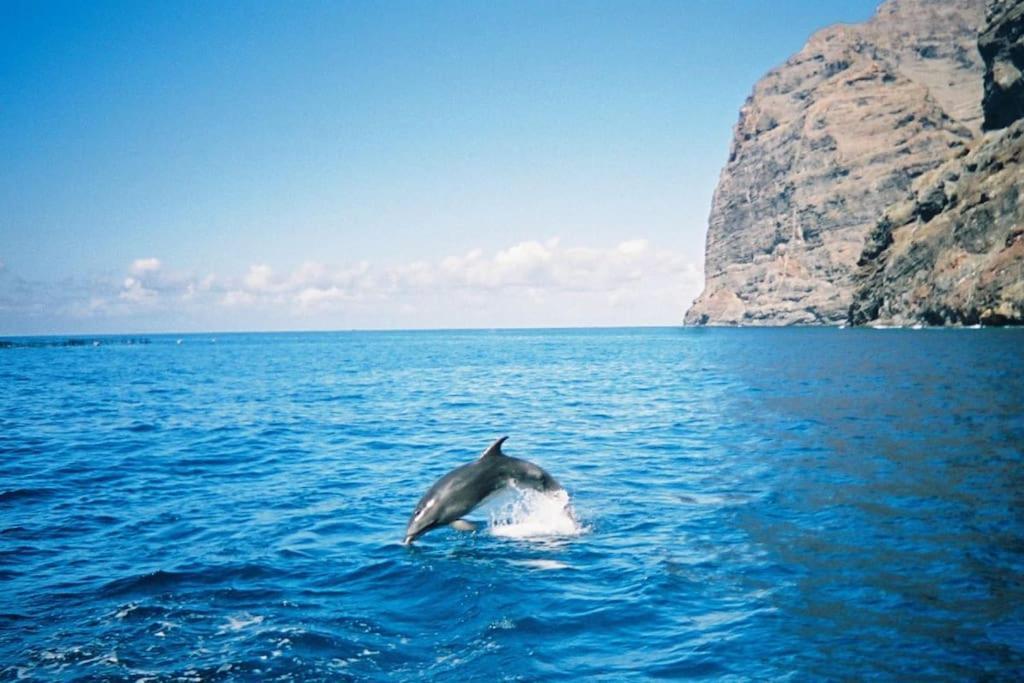 Vacanze Da Sogno San Miguel de Abona Ngoại thất bức ảnh